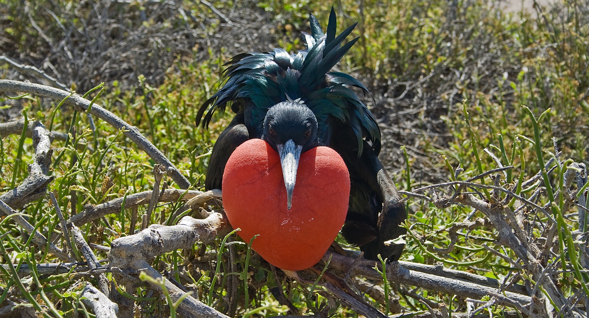 San Valentino