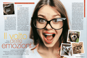 the face of emotions